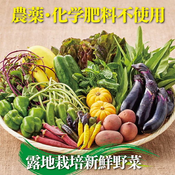 佐賀産季節の旬野菜15種類(農薬・化学肥料不使用):B150-008佐賀県佐賀市15000野菜・きのこ