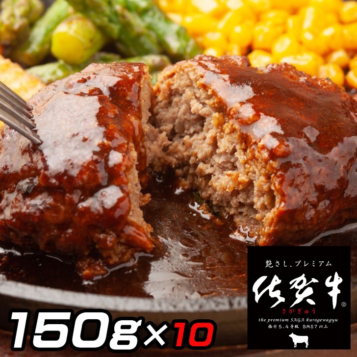 佐賀牛入りがばいハンバーグ10個:B160-011佐賀県佐賀市16000肉牛肉