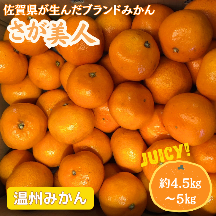 【先行予約】佐賀みかん さが美人:B175-009佐賀県佐賀市17500果物・フルーツみかん・柑橘類