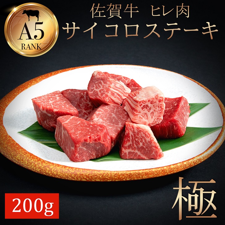 󏭕ʁIꋍqTCRXe[L200gFB205-002ꌧs20500