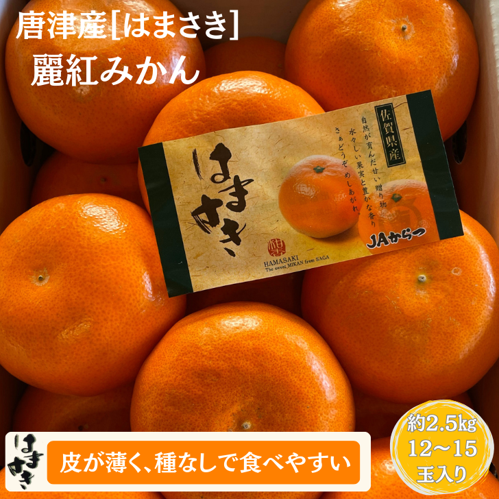 【先行予約】佐賀みかん 唐津産【はまさき】麗紅みかん:B210-021佐賀県佐賀市21000果物・フルーツみかん・柑橘類