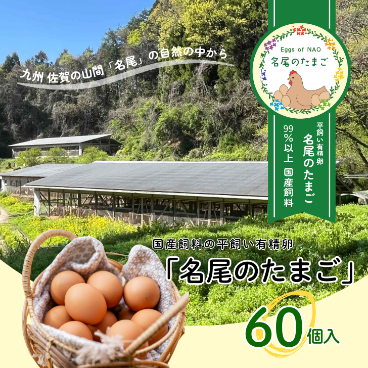 国産飼料の平飼い有精卵「名尾のたまご」60個入:B230-015佐賀県佐賀市23000卵・乳製品