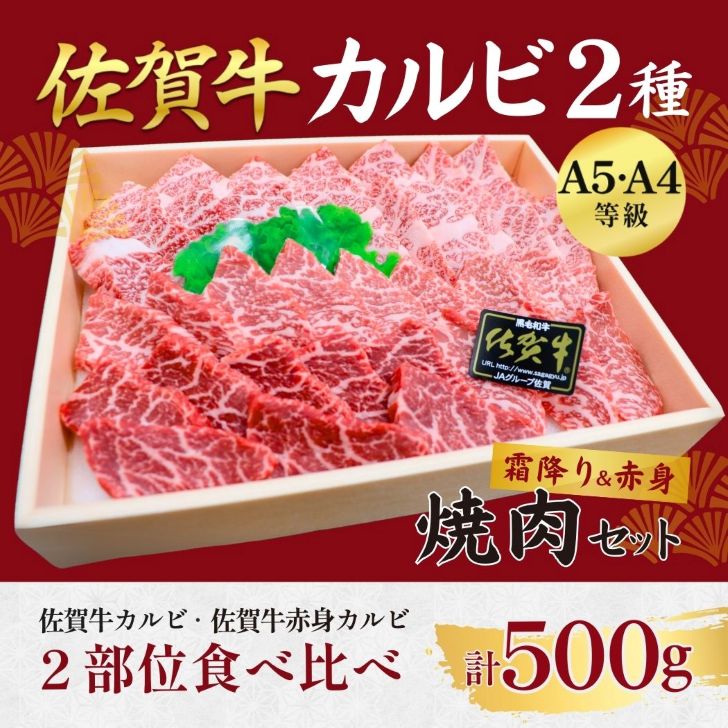 佐賀牛カルビ 2種 焼肉用 500g:B320-013佐賀県佐賀市32000肉牛肉