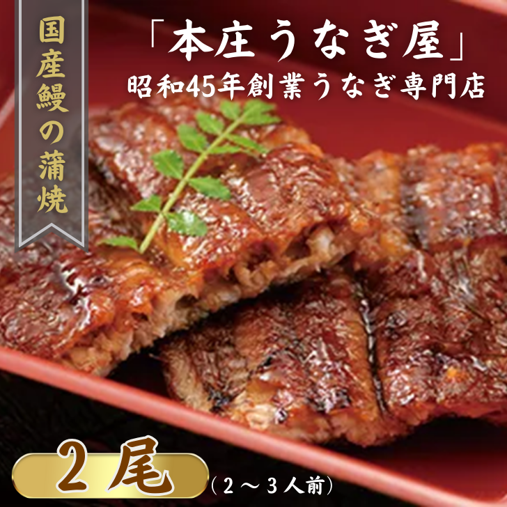 「本庄うなぎ屋」の国産鰻の蒲焼 2尾(2〜3人前):B335-018佐賀県佐賀市33500魚介・海産物うなぎ