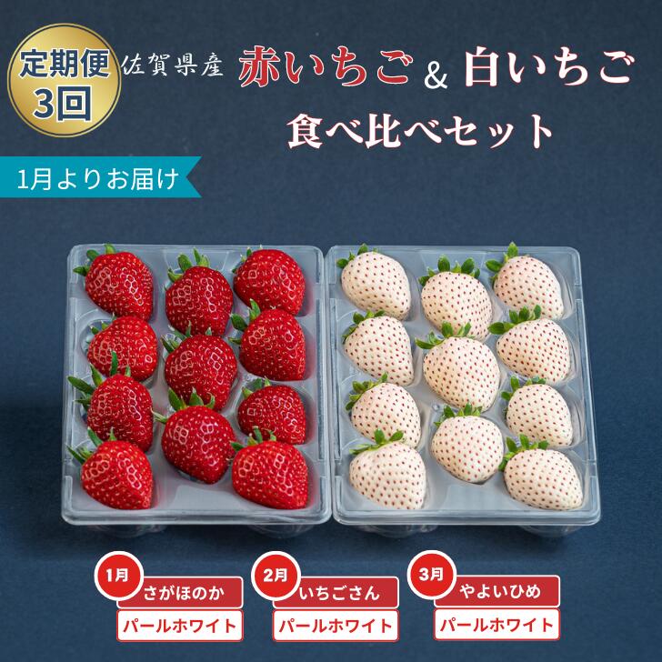 【定期便3回】赤いちご白いちご食べ比べ(1月〜3月発送):B395-012佐賀県佐賀市39500果物・フルーツいちご