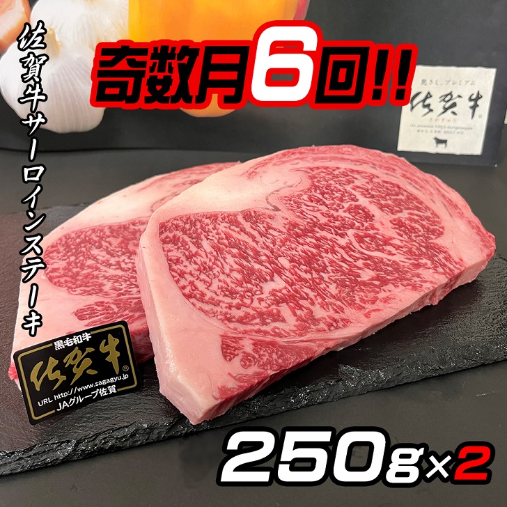 【奇数月定期便(年6回)】佐賀牛ステーキ 250g×2:C172-005佐賀県佐賀市172000肉牛肉
