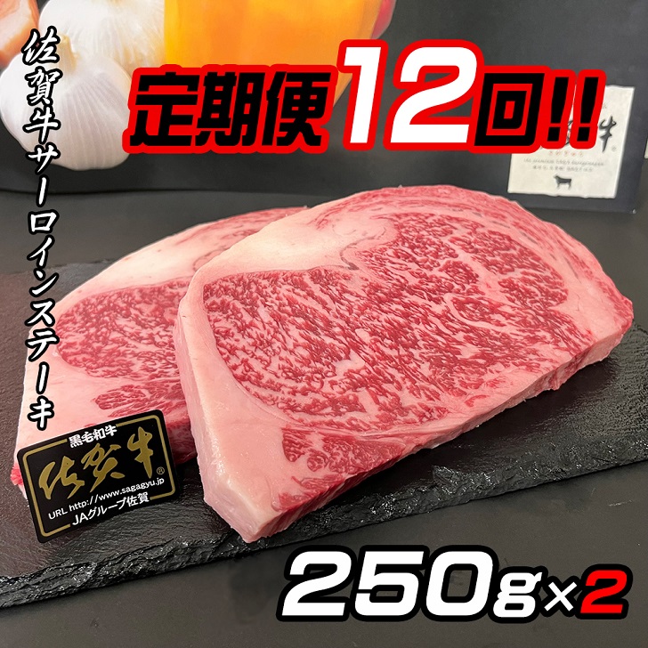 【定期便12回】佐賀牛ステーキ 250g×2:C345-004佐賀県佐賀市345000肉牛肉