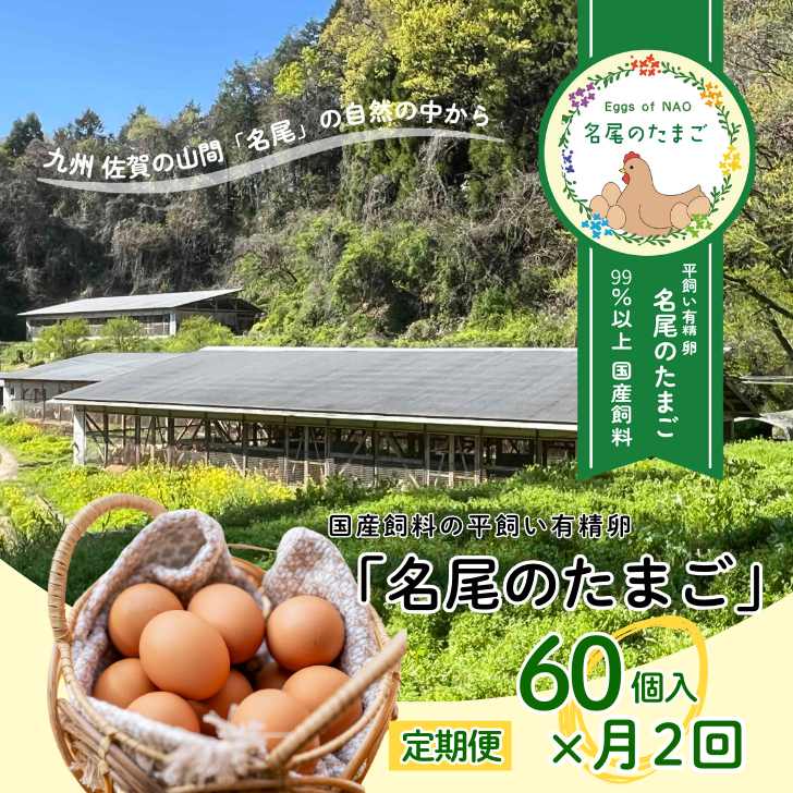 【定期便24回】国産飼料の平飼い有精卵「名尾のたまご」60個入:C520-002佐賀県佐賀市520000卵・乳製品