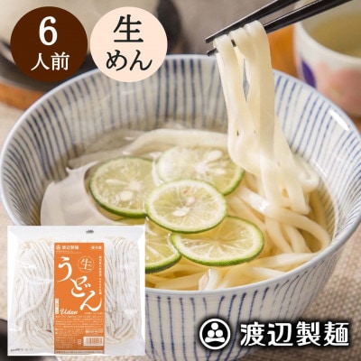 生うどん 渡辺製麺 6人前 1.1kg 国産小麦使用 冷蔵品 信州八ヶ岳よりお届け【配送不可地域:離島】【1592335】長野県茅野市4000麺うどん