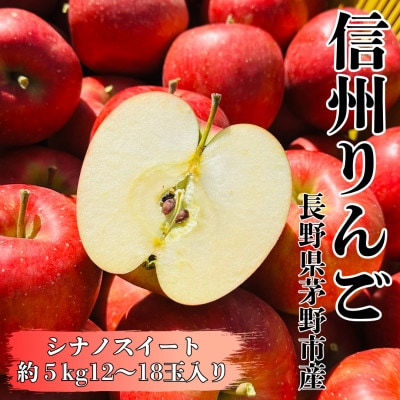 【2026年先行受付】長野直送!信州八ヶ岳のりんごシナノスイート約5kg(12〜18玉)蓼科高原【配送不可地域:離島】【1605264】長野県茅野市14000果物・フルーツりんご・梨