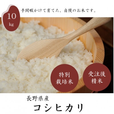 【新米先行受付】長野県産特別栽培米 コシヒカリ10kg【1651029】長野県茅野市48000米・パン白米
