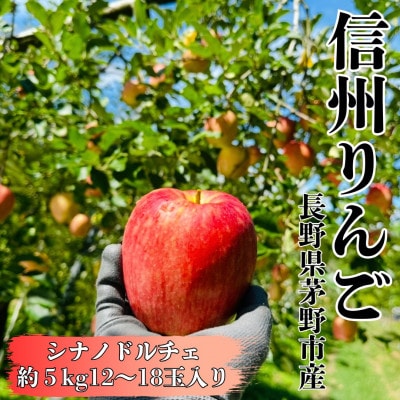 【2026年先行受付】長野直送!信州八ヶ岳のりんごシナノドルチェ約5kg(12〜18玉)蓼科高原果物【配送不可地域:離島】【1665924】長野県茅野市14000果物・フルーツりんご・梨