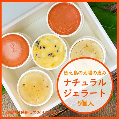 徳之島ワクワクジェラート ティダ(太陽)のおくりもの 5個セット【配送不可地域:離島】【1405145】鹿児島県伊仙町12000菓子・スイーツアイス・ジェラート