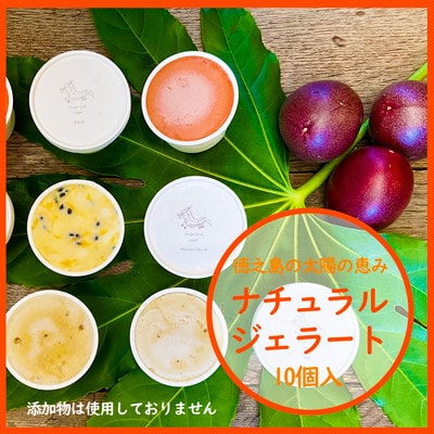 VNNWF[g@eB_(z)̂́@10ZbgyzsnFzy1405146zɐ咬24000َqEXC[cACXEWF[g