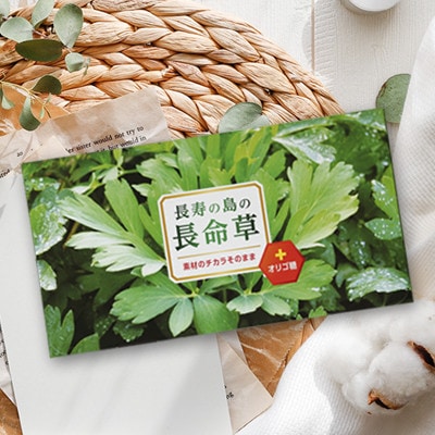 長寿の島の長命草 75g(2.5g×30包)【1406800】鹿児島県伊仙町16000お茶・飲料果汁・野菜飲料