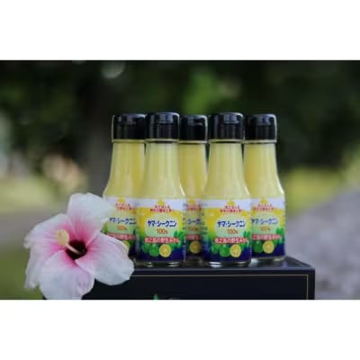 ヤマ・シークニン果汁70ml×5本セット【1407427】鹿児島県伊仙町13000お茶・飲料果汁・野菜飲料