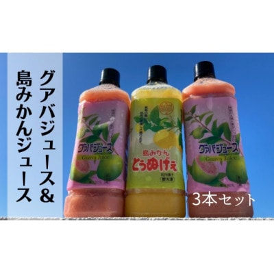 O@o݂W[X@3{ZbgyzsnFzy1407859zɐ咬16000Eʏ`E؈