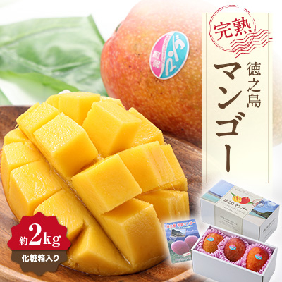 ys\!2026N7菇z ʎ p }S[ 2kg(ϔ)yzsnFzy1425293zɐ咬27000ʕEt[c}S[EpCibv