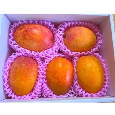 s\!2026N7 V ɐ咬 _蓿V}S[ 1kg͂!ypzyzsnFzy1535542zɐ咬13000ʕEt[c}S[EpCibv