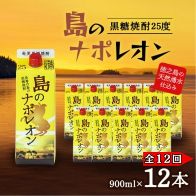 【毎月定期便】奄美黒糖焼酎 島のナポレオン 900ml 紙パック 12本セット全12回【4074147】鹿児島県伊仙町515000酒・アルコール焼酎