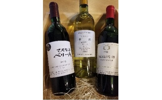 樽熟成ワイン3本セット 056-002山梨県笛吹市36000酒・アルコール
