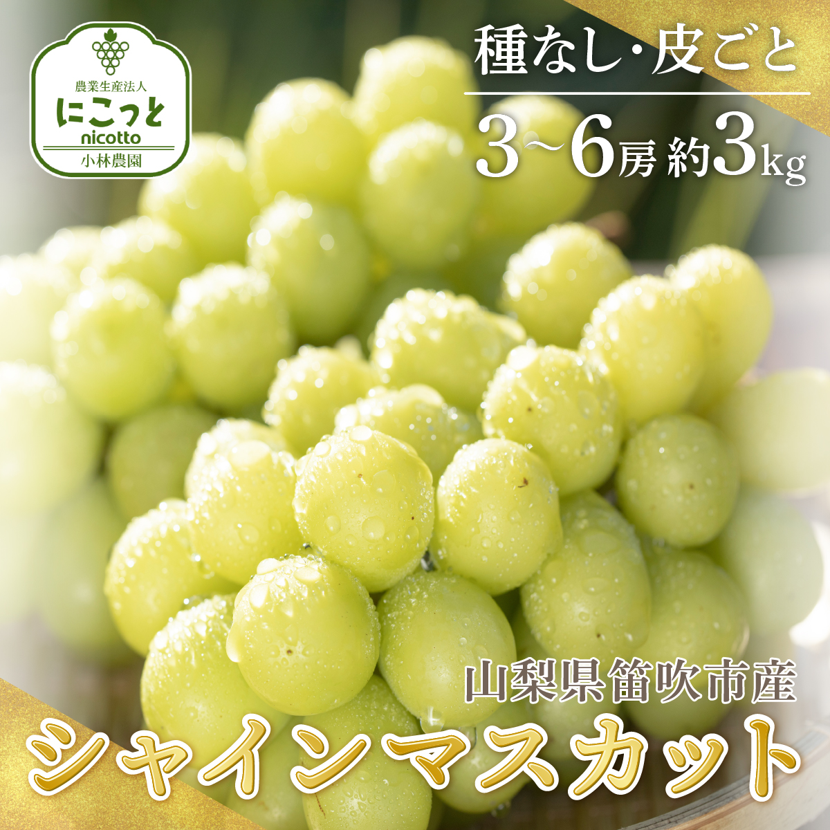 25Ns\񁄃VC}XJbg 3`6[ 3.0kg ꌧE͔s 097-014RJs25000ʕEt[c