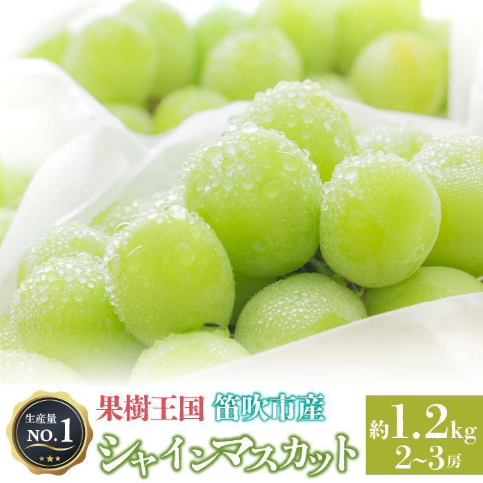 <25年発送先行予約>人気 シャインマスカット 約1.2kg 2〜3房 ※沖縄県及び離島への配送はできませんので予めご了承ください。 ※常温配送 126-002山梨県笛吹市12000果物・フルーツ