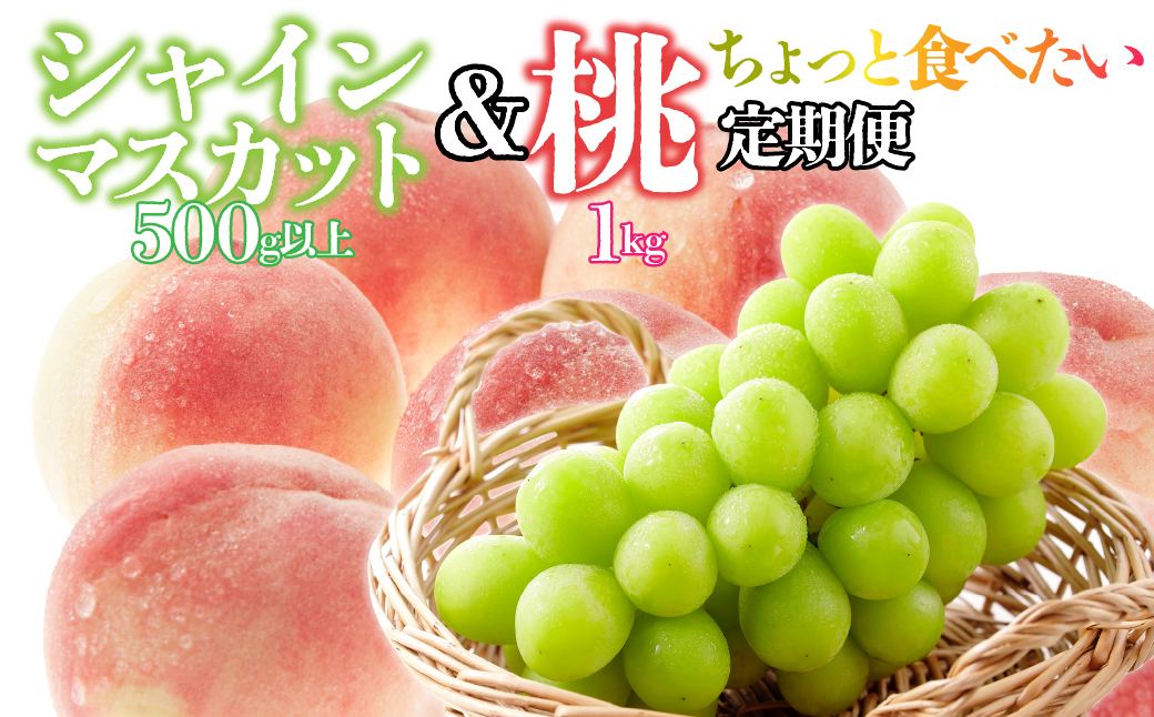 <25年発送先行予約>【ちょっと食べたい定期便】桃 約1kg(3〜4玉)×シャインマスカット500g以上 126-024山梨県笛吹市14000果物・フルーツ
