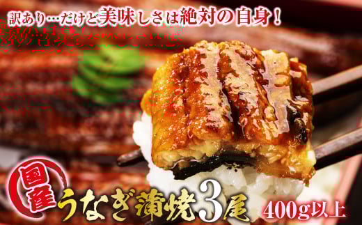 y󂠂zRYxmR̒nȂ̊ā@3400gȏ+100g̏ĂZbg 138-004RJs22000ECY