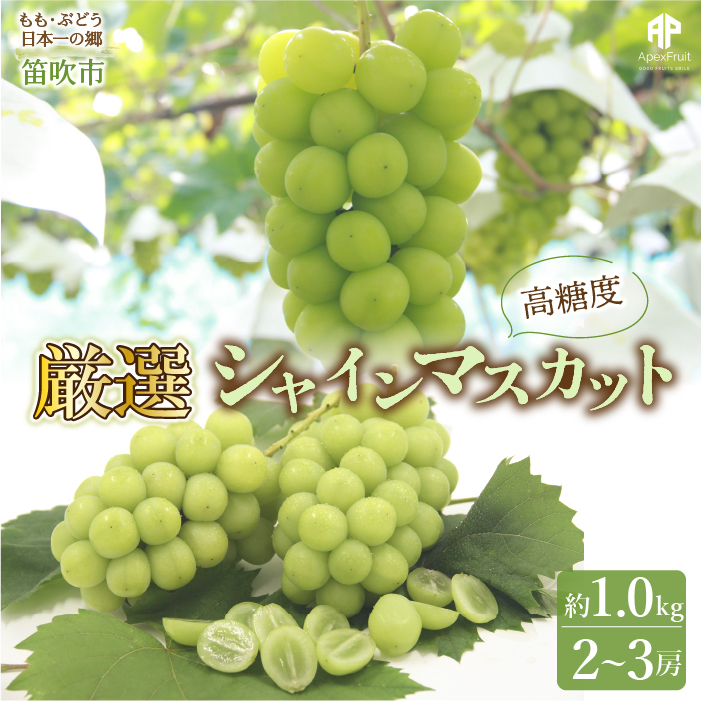 25Ns\񁄓JsY@ I! VC}XJbg 2`3[ 1.0kg 205-004RJs12000ʕEt[c