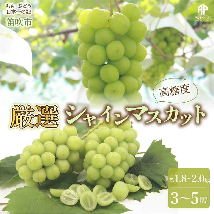 25Ns\  JsY@I! VC}XJbg 1.8`2.0kg 3`5[ 205-005RJs20000ʕEt[c