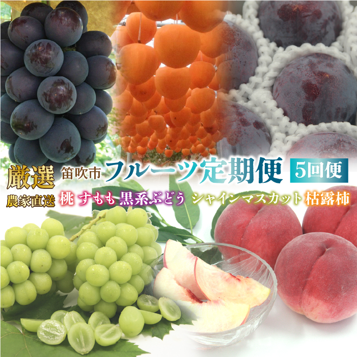 25Ns\񁄓JsY@I!_ƒut[c5ցv 205-013RJs60000ʕEt[c