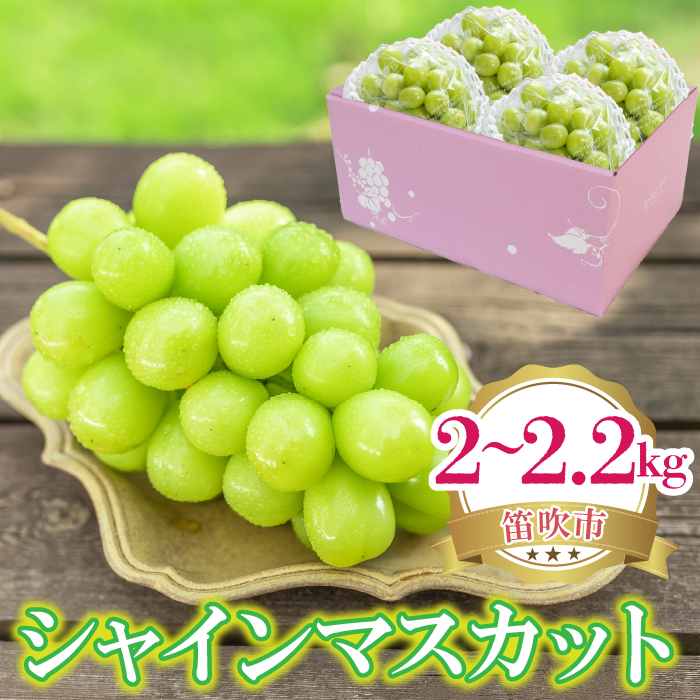 25Ns\񁄃VC}XJbg 2`2.2kg 222-008-2RJs22000ʕEt[c