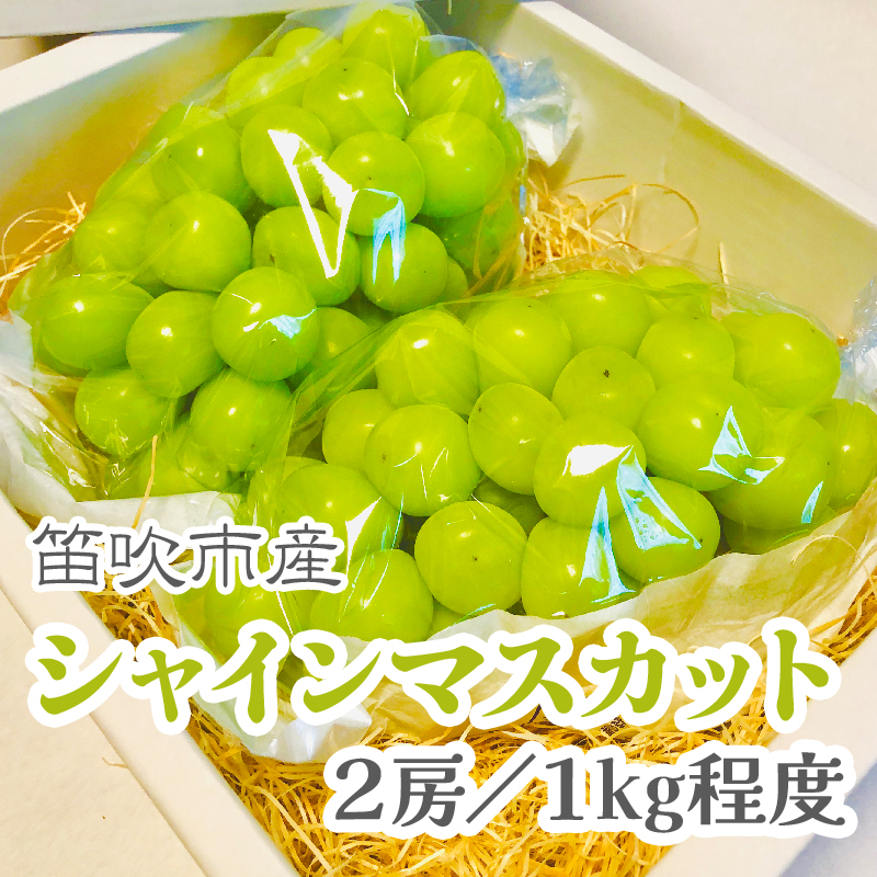 <25年発送先行予約>こだわりの逸品! 甘さと香り際立つ山梨県産シャインマスカット2房(合計1kg程度)229-001山梨県笛吹市13000果物・フルーツ