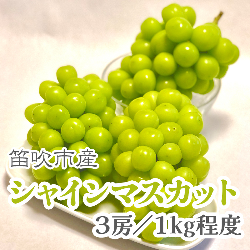 <25年発送先行予約>こだわりの逸品! 甘さと香り際立つ山梨県産シャインマスカット3房(合計1kg程度)229-002山梨県笛吹市14000果物・フルーツ