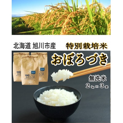 おぼろづき無洗米2kg×3袋_01259【1155387】北海道旭川市14000米・パン無洗米