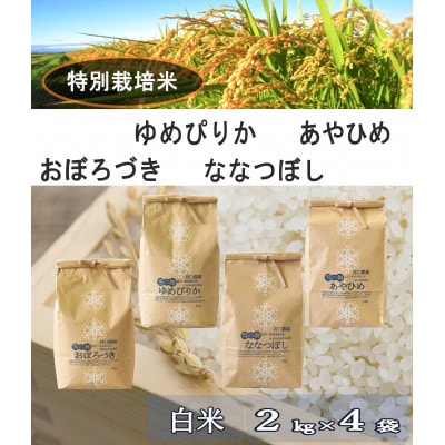 特別栽培米 あやひめ・おぼろづき・ななつぼし・ゆめぴりかの4品種(白米2kg×4袋)_01764【1155634】北海道旭川市17000米・パン白米