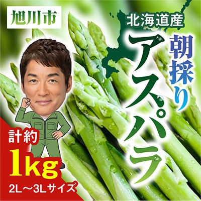 朝採りアスパラ(2L〜3Lサイズ) 約1kg_01704【配送不可地域:離島】【1155714】北海道旭川市12000野菜・きのこその他 野菜