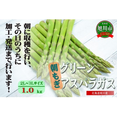 旭川産朝もぎ!グリーンアスパラガス 2L〜3Lサイズ 合計1.0kg_01940【配送不可地域:離島】【1155750】北海道旭川市18000野菜・きのこその他 野菜