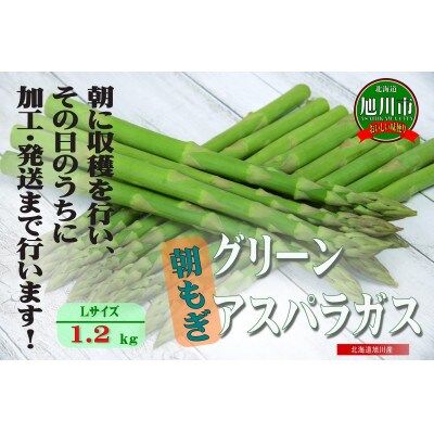 旭川産朝もぎ!グリーンアスパラガス Lサイズ 合計1.2kg_01941【配送不可地域:離島】【1155751】北海道旭川市18000野菜・きのこその他 野菜