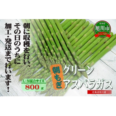 旭川産朝もぎ!グリーンアスパラガスLM混合各400g合計800g_01942【配送不可地域:離島】【1155752】北海道旭川市12000野菜・きのこその他 野菜