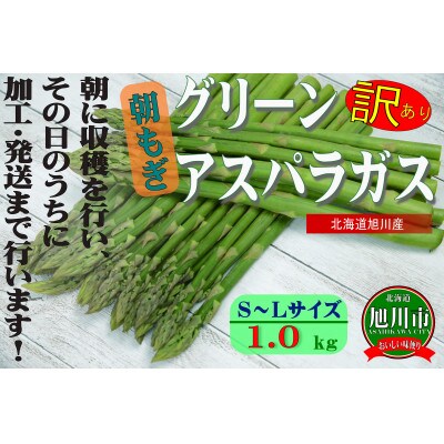 【生産者応援企画】旭川産朝もぎ!訳あり グリーンアスパラガス 1kg_01943【配送不可地域:離島】【1155753】北海道旭川市12000野菜・きのこその他 野菜