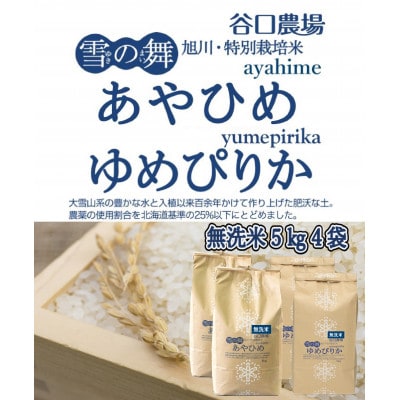 【2024年10月下旬より順次発送】あやひめ・ゆめぴりか 無洗米 各5kg×2袋_02077【1155795】北海道旭川市41000米・パン無洗米