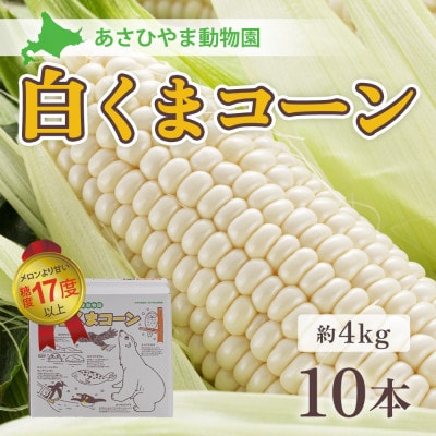 2026年8月下旬以降 あさひやま動物園白くまコーン4kg 旭山動物園監修箱入り_00308【配送不可地域:離島】【1156857】北海道旭川市12000野菜・きのことうもろこし