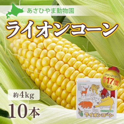 2026年8月下旬以降 あさひやま動物園ライオンコーン4kg 旭山動物園監修箱入り_00307【配送不可地域:離島】【1156858】北海道旭川市12000野菜・きのことうもろこし