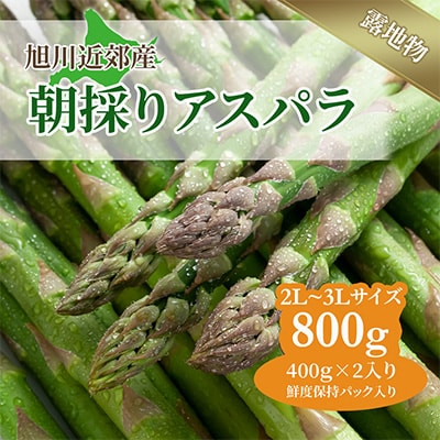 旭川近郊産露地物アスパラ800g 2L〜3L_01593【配送不可地域:離島】【1156887】北海道旭川市12000野菜・きのこその他 野菜