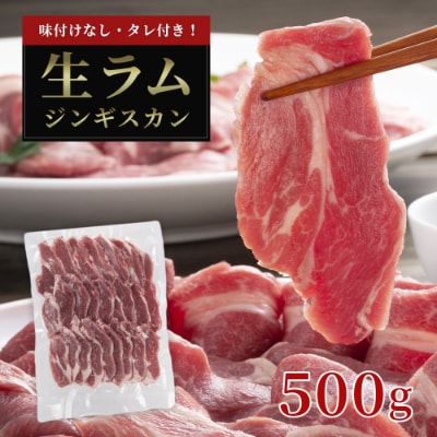 厚切り生ラムジンギスカン 500g・ジンギスカンのたれ 80gセット_01185【配送不可地域:離島】【1156957】北海道旭川市14000肉ジビエ