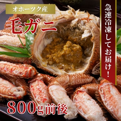 北海道産 毛ガニ 1尾 800g前後_01190【配送不可地域:離島】【1156983】北海道旭川市48000魚介・海産物カニ