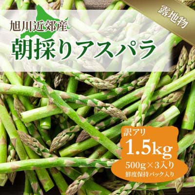 訳ありアスパラ 1.5kg500g×3 旭川近郊産_01589【配送不可地域:離島】【1157035】北海道旭川市12000野菜・きのこその他 野菜