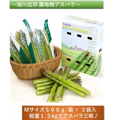 【2025年5月中旬発送開始予定】グリーンアスパラギフト 全て露地物Mサイズ1.5kg _02163【配送不可地域:離島】【1389254】北海道旭川市12000野菜・きのこその他 野菜
